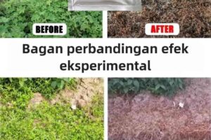 DS Pupuk Pembasmi Rumput IFN GG